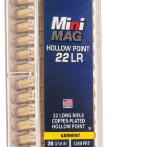 CCI .22LR MINI MAG HOLLOW POINT 36GR VARMINT (100)