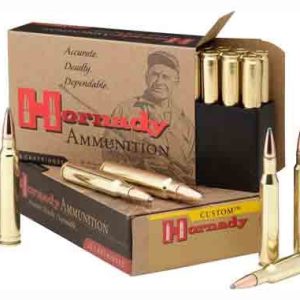 HORNADY 375 RUGER 270GR SP-RP (20)